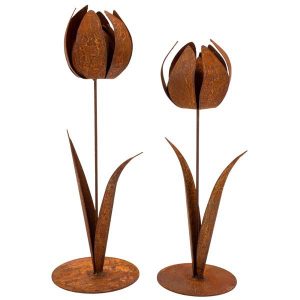 Blumen "Tulpe"