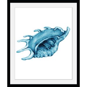 Rahmenbild "Blue Seashell"